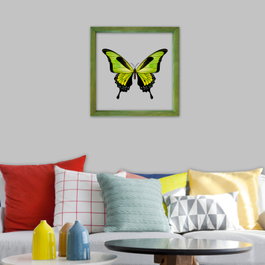 Wallity Cuadro Decorativo Enmarcado Multicolor 32 x 32 cm